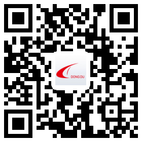 Jiangsu Dongdu Textile Group Co., Ltd.